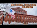 Snowy day in dc national building museum