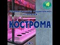 Настенная, автоматическая гидропонная установка КОСТРОМА