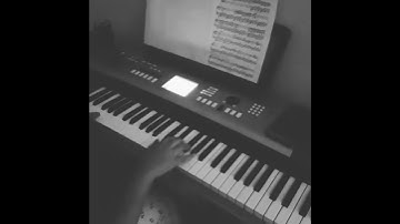 Thumbnail of "Marriage of love" cover by Rosy
