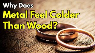 Why Does Metal Feel Colder Than Wood? (The Touch Illusion)