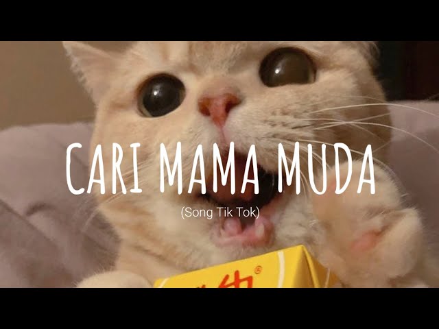 Cari Mama Muda - DJ VIRAL TERBARU (remix) // (Vietsub + Lyric) Song Tik Tok class=