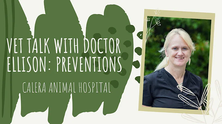 Dr. Ellison - Flea, Tick, and Heartworm Prevention