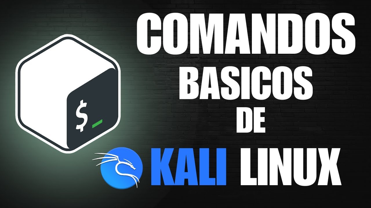 Aprende los Comandos Básicos Más Importantes de Kali Linux 💻 - YouTube