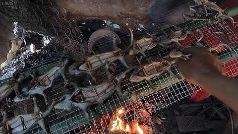 Rượu Tắc Kè Làm Như Thế Nào | Dân Dã Tây Nguyên