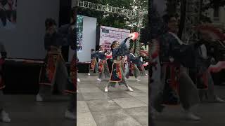 [Kanagawa festival 2022.11.20] Ulis yosakoi team - Hajime (Lạc Lạc focus)