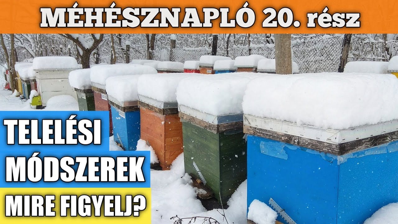 Méhésznapló #20 - Méhek teleltetése