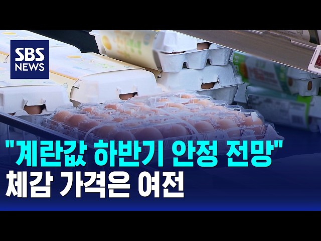 "생산량 증가로 계란값 하반기 안정"..체감 가격은 여전 / 경제365 / SBS 10시뉴스
