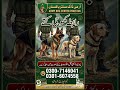 Army Dog Center Mandi Bahauddin Sargodha Khushab Kharian Jhelum Chakwal Talagang Chakwal