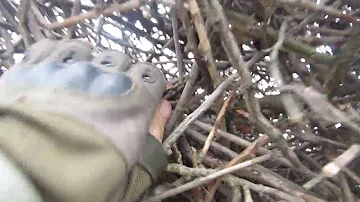 НАШЛИ ГНЕЗДО А ТАМ...!!!! ЧТО МОЖНО НАЙТИ В ГНЕЗДЕ?!!