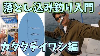 【カタクチイワシ】落とし込み入門　vol.88