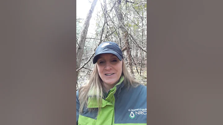 Enjoy Michigan's Great Outdoors