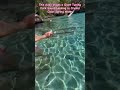 Tuning Fork Sound Healing in Crystal Clear Spring Water #SoundHealing #TuningFork #NatureVibes