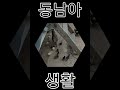 #reels #reelvideo #동남아.