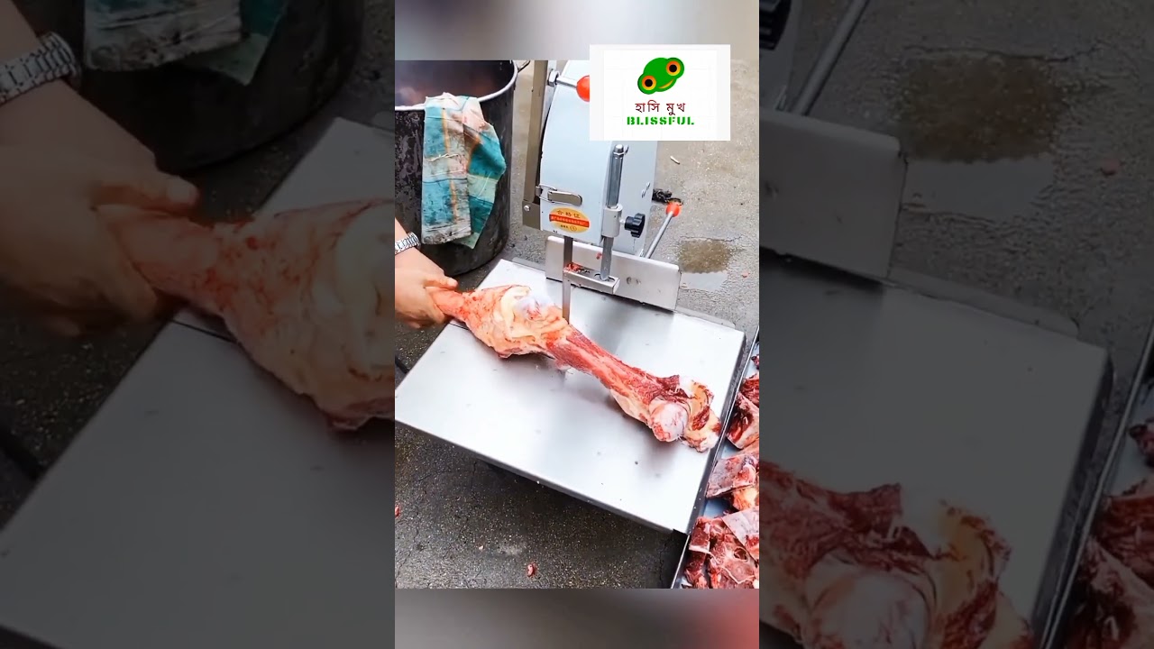 Bone Saw Machine