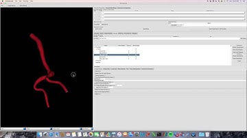 Create a PolyData Model