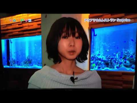 愛媛 松山市 アクアリウム レストラン サプライズ YAPPY2