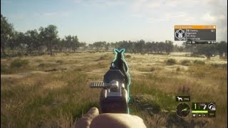 Mr Roo Im behind you lol|Shorts|theHunter COTW