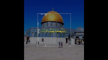 تلاوة هادئة تريح الأعصاب 😴🎧 القارئ: اسلام صبحى  سورة: الأحزاب 💙❤