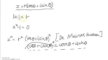 Complex Roots of Unity