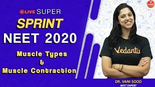 NEET Biology | Muscle Types & Muscle Contraction | NTA NEET 2020 | Dr. Vani Sood | Vedantu Biology