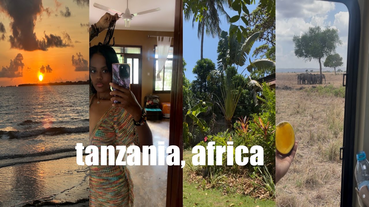 tanzania vlog 🇹🇿 — udzungwa mountains, safari, lockdown for independence day, dancing with makonde! 