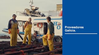 Proveedores Galicia 👩🏻 | Lidl España