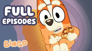 it s baby bingo funny baby filled full episodes bingo official