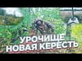 КОП ПО ВОЙНЕ | ПО СЛЕДАМ ВТОРОЙ УДАРНОЙ АРМИИ | УРОЧИЩЕ НОВАЯ КЕРЕСТЬ