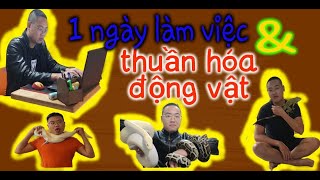 Một ngày làm, chăm sóc, thuần hóa động vật | Youtube's working day | House Animal TV