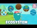 Ecosystems Unveiled: Exploring Living and Non-Living Components