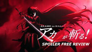 Official]Akame Ga Kiru/Kill/Zero Thread (SPOILERS INSIDE