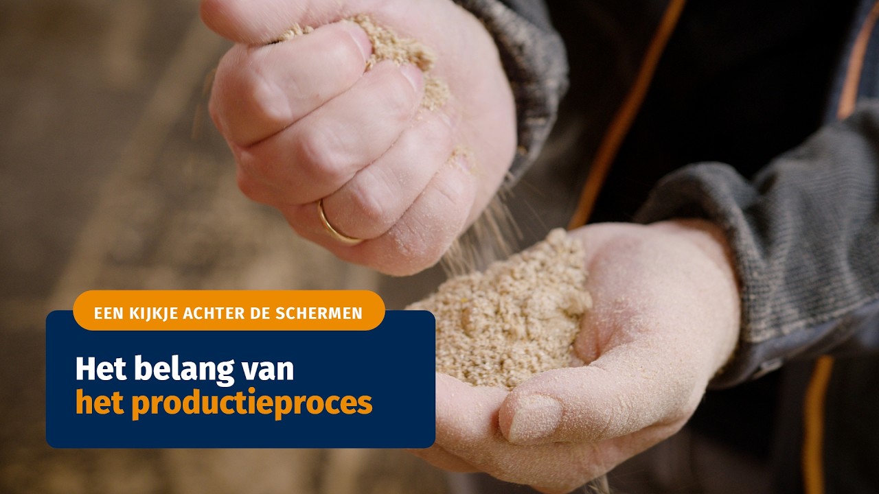 Een kijkje achter de schermen: Het belang van het productieproces