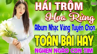 HÁI TRỘM HOA RỪNG ➤ LK Nhạc Vàng Xưa Hay Nhất Nghe Nghẹn Ngào Con Tim - Nhạc Trữ Tình Hay Nhất 2024