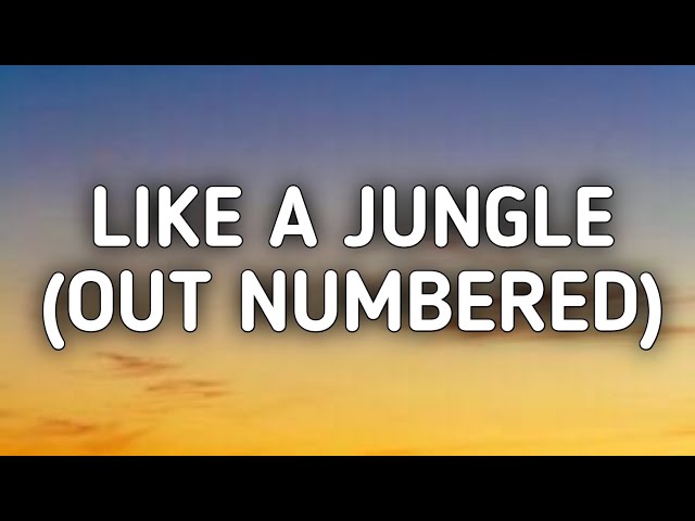 back on 74 - jungle #fyp #foru #foryoupage #lyrics #foryou