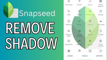 How to Remove Shadow in SnapSeed 2024?