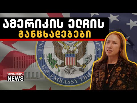 არა ხარვეზებზე მიუთითებს ამერიკის ელჩი საქართველოში არჩევნებამდე 5 თვით ადრე