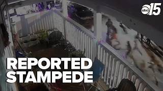 Atlantic Beach speaks out after stampede incident injures 19, 3 others taken to hospital
