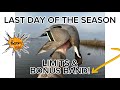 LAST DAY OF THE SEASON | 2 LIMITS &amp; BONUS BAND #waterfowl #norcal #greatoutdoors 