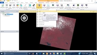 How to calculate NDVI using Erdas Imagine 2015.
