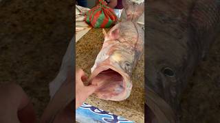 Sono andato al mercato per comprare un po’ di pesce. #chefstefanobarbato #ecuador #stefanobarbato
