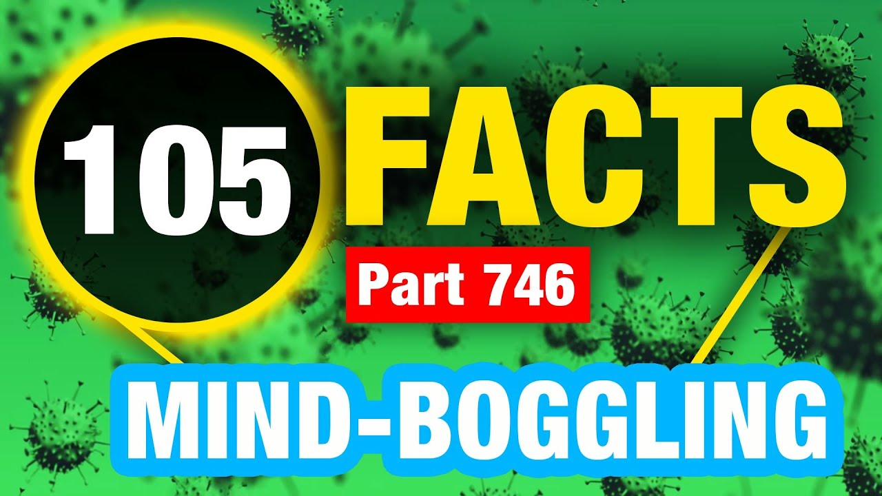 105 Facts That Will Blow Your Mind | Incredible Weird Facts - YouTube