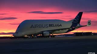 Airbus Beluga - Takeoff & Landing