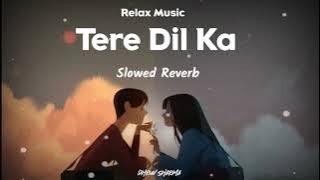 Tere Dil Ka Mere Dil Se Slowed Reverb Song | Sonu Nigam | Himesh Reshammiya | Dhruv Sharma |