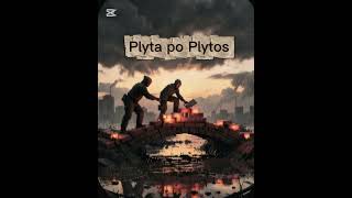 Plyta po plytos (Remix)