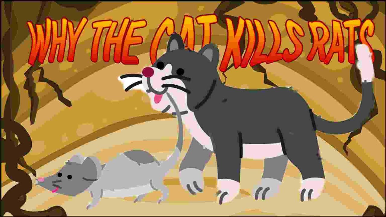 WHY THE CAT KILLS RATS YouTube WHY THE CAT KILLS RATS YouTube