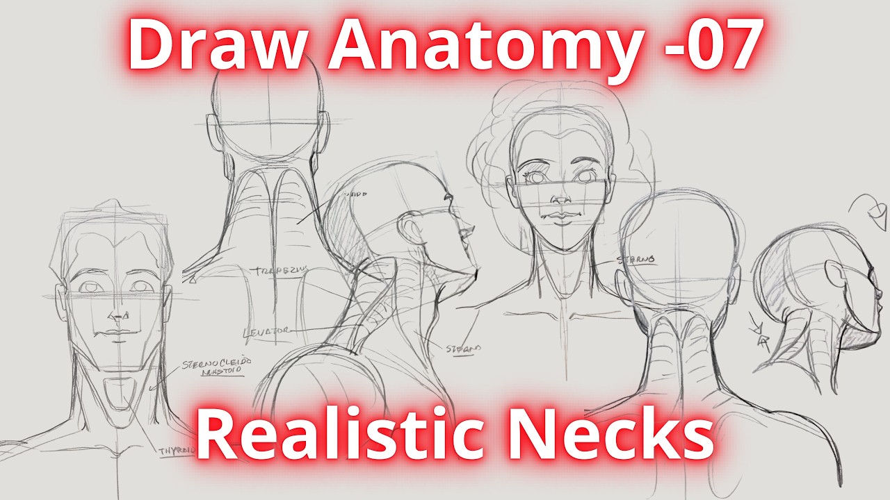 Learn to Draw Anatomy - Realistic Necks - YouTube