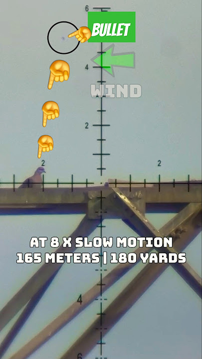 Calculating wind | Unreal Modern PCP Airguns | FX Impact | Best PCP Airguns in the world #fxairguns