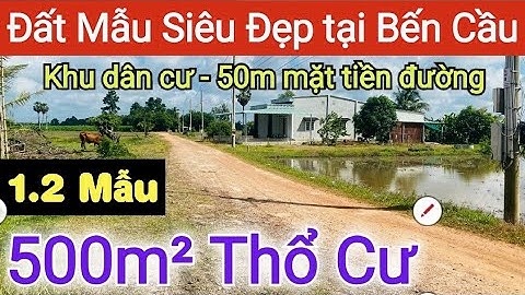 Tìm đâu ra lô đất mẫu siêu đẹp, có sẵn 500m² thổ cư tại khu dân cư Long Khánh, Bến Cầu Tây Ninh #bds