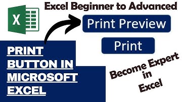 Print & Print preview Button in Ms Excel || How to make Print Button in Excel