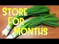 How to store spring onion for months